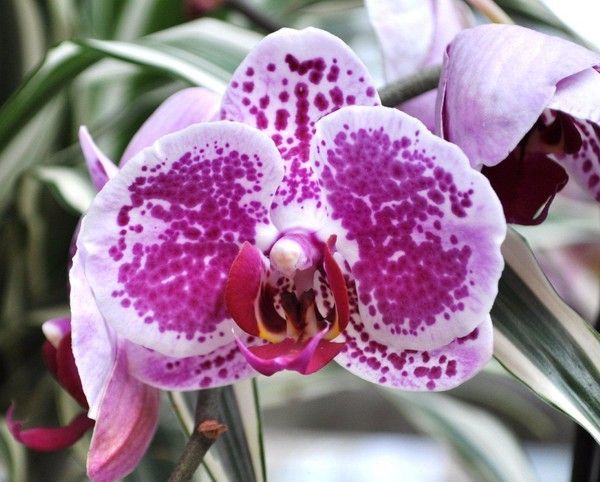 Puissance de la Parole de Dieu