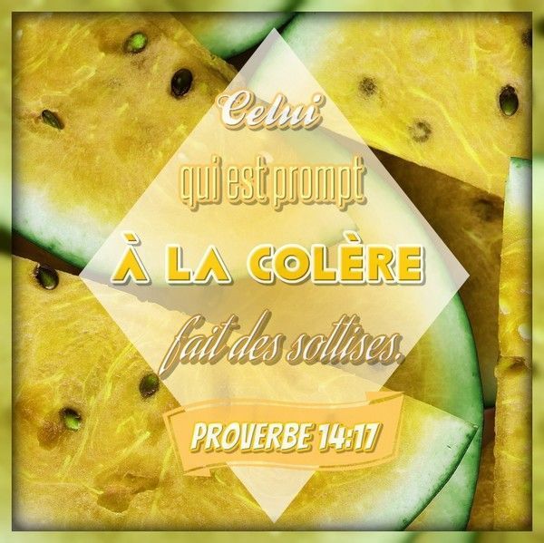 Notre Pain Quotidien : 11 Novembre 2019