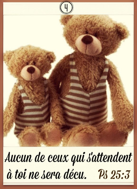 4 décembre sainte barbe faire pousser blé ou lentille comment faire