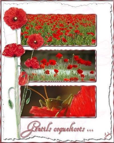  Dieu, l'argent et moi 