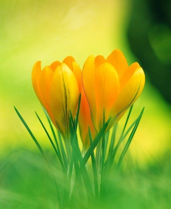 Les paroles de Jésus (1)