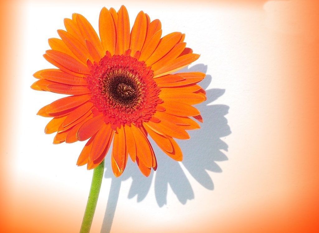 Victoire de Jésus Christ à la croix